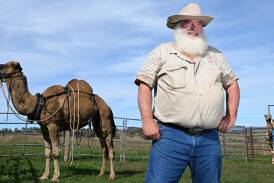 Camel trainer Peter Towle with Jiddan at his Loomberah property. Picture by Gareth Gardner