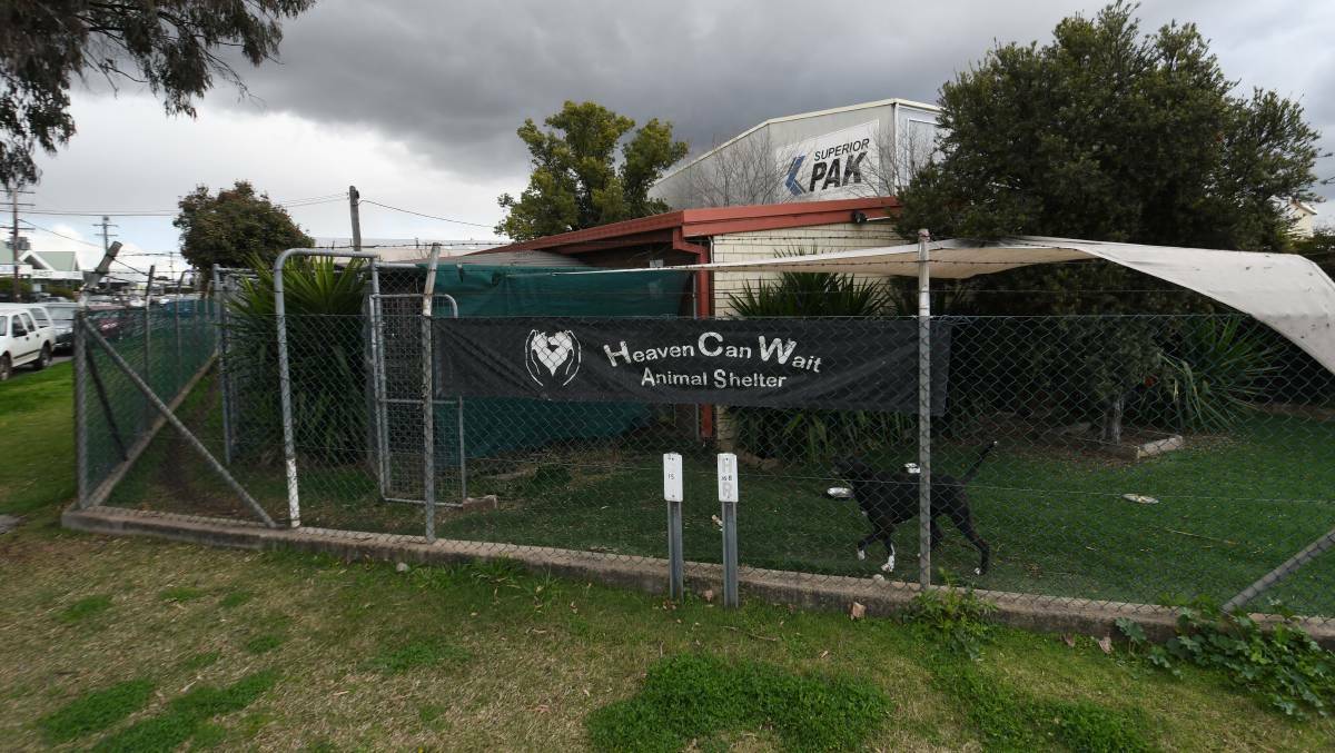 Tamworth Regional Council could take over the Heaven Can Wait animal shelter for 12 months. Picture File