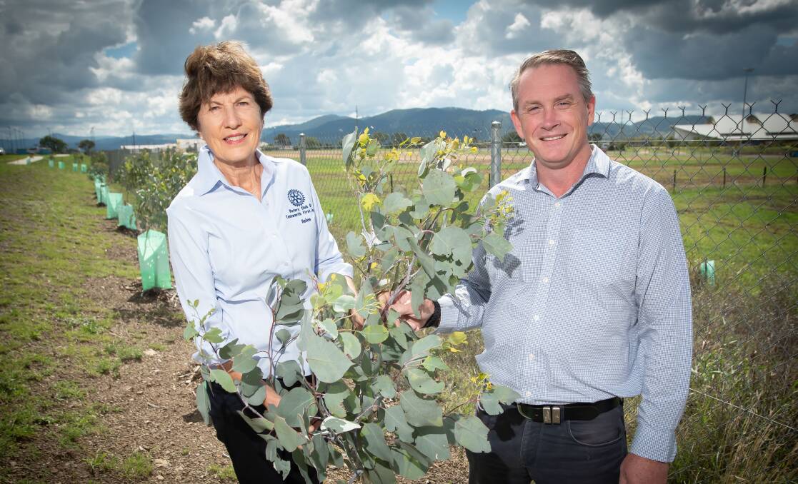 Tamworth Regional councillor Helen Tickle and council's arborist Hugh Leckie. Picture by Peter Hardin