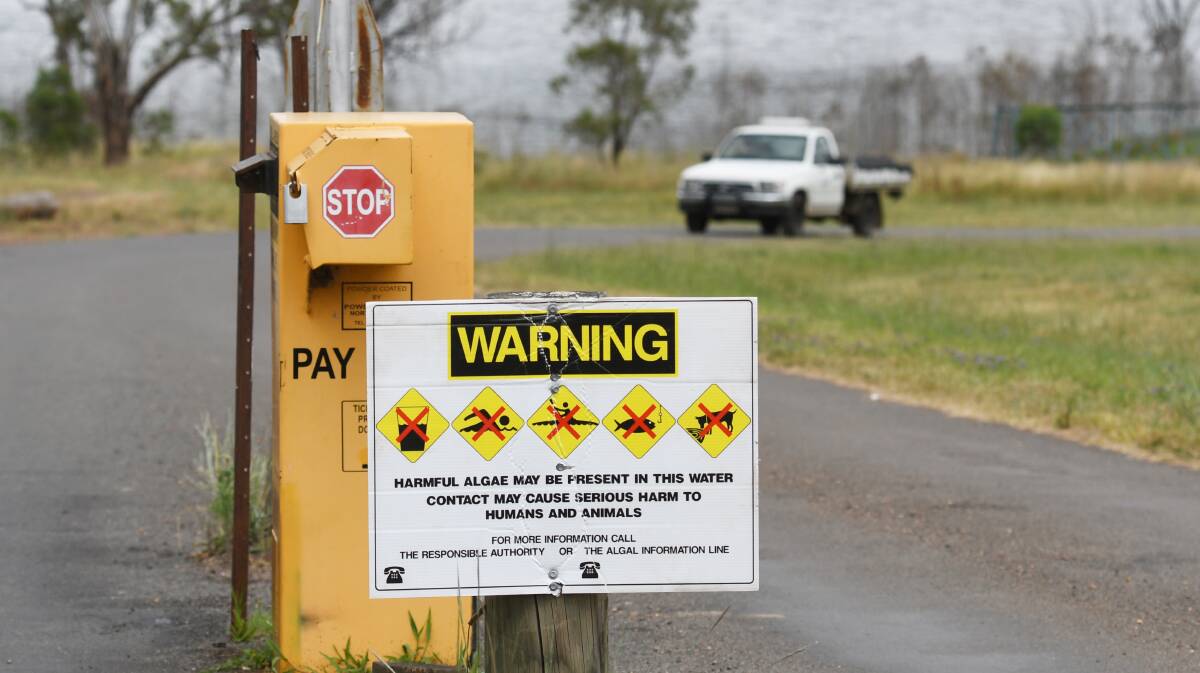 Blue green algae red alerts are in place for Chaffey, Copeton and PPindari Dams. Picture by Peter Hardin