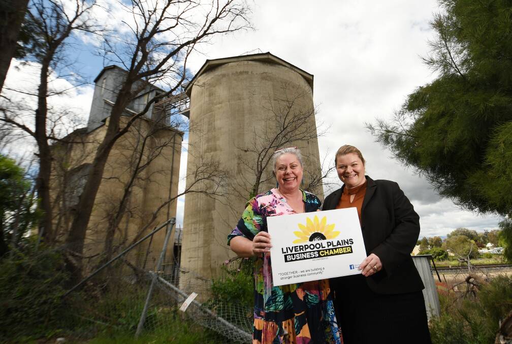 Liverpool Plains Business Chamber president Sally Alden and chamber member LIz Morris in front of the silo in Quirindi. Picture by Gareth Gardner