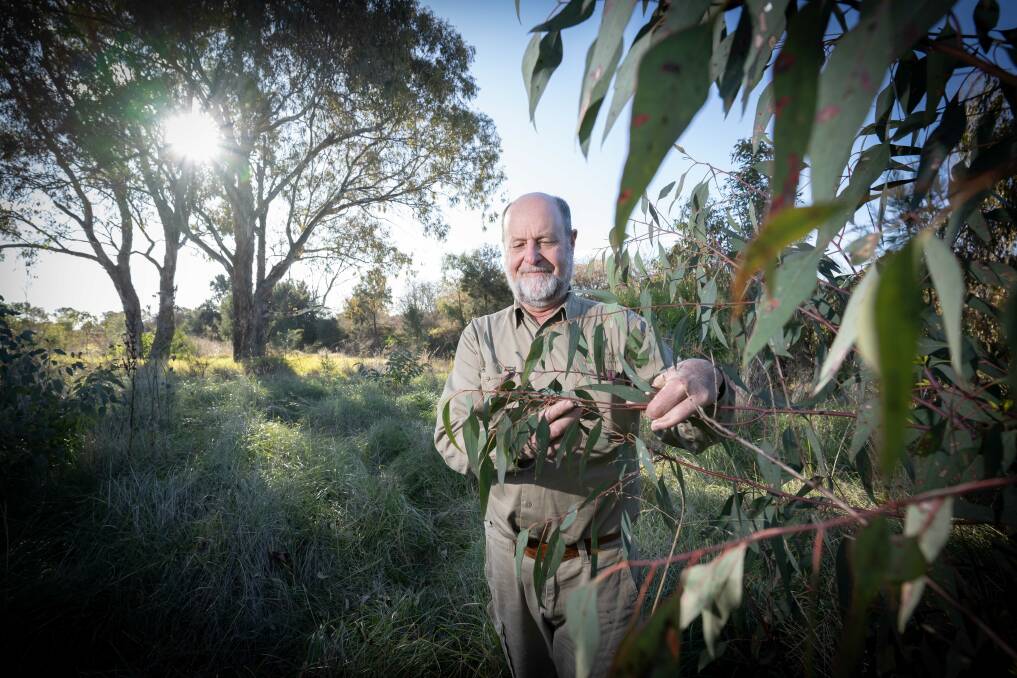 Tamworth Urban Landcare project officer Paul Moxon will plant trees by the Peel river on National Tree Day. Picture by Peter Hardin