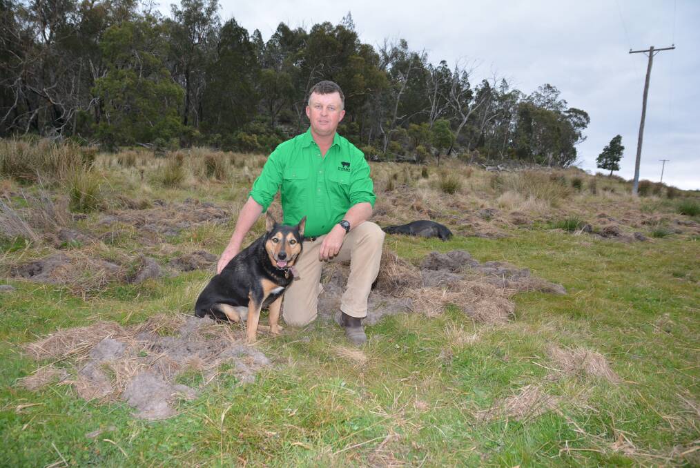 Grant Prendergast, Kynuna Cattle Co, Orrabah, Retreat via Bendemeer with his dog Angus, inspect pastures damaged by feral pigs and a dead sow.