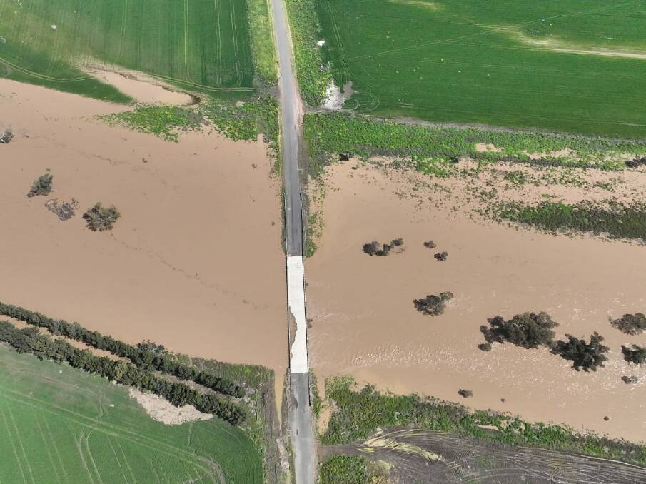 Crops out towards Breeza were some of the lower-lying crops affected by flooding. Picture by Rob Balint
