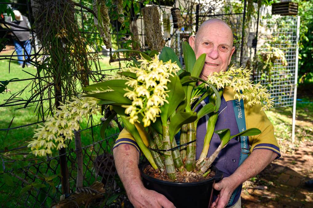 Jack van Hest with some of his hardier orchids that have survived. Picture by Mark Kriedemann