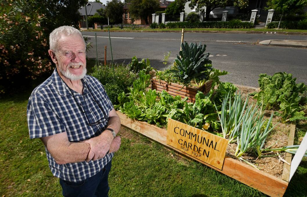 Patrick Mahony's marvelous verge vege patch. Pictures by Gareth Gardner