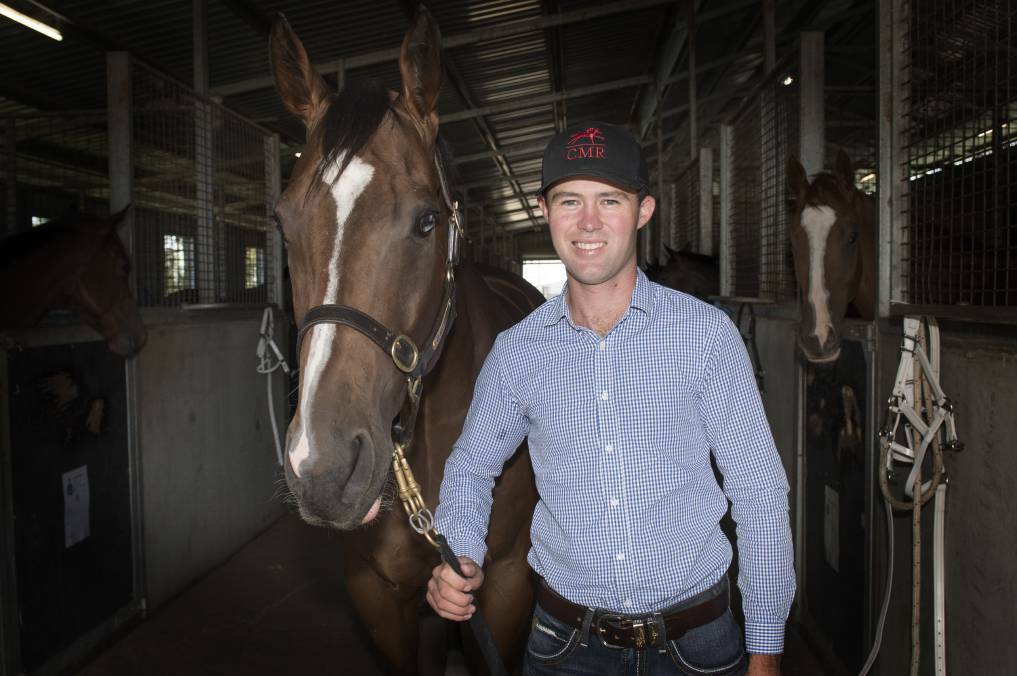 Cody Morgan is Tamworth's biggest trainer with the most horses in work. Picture file