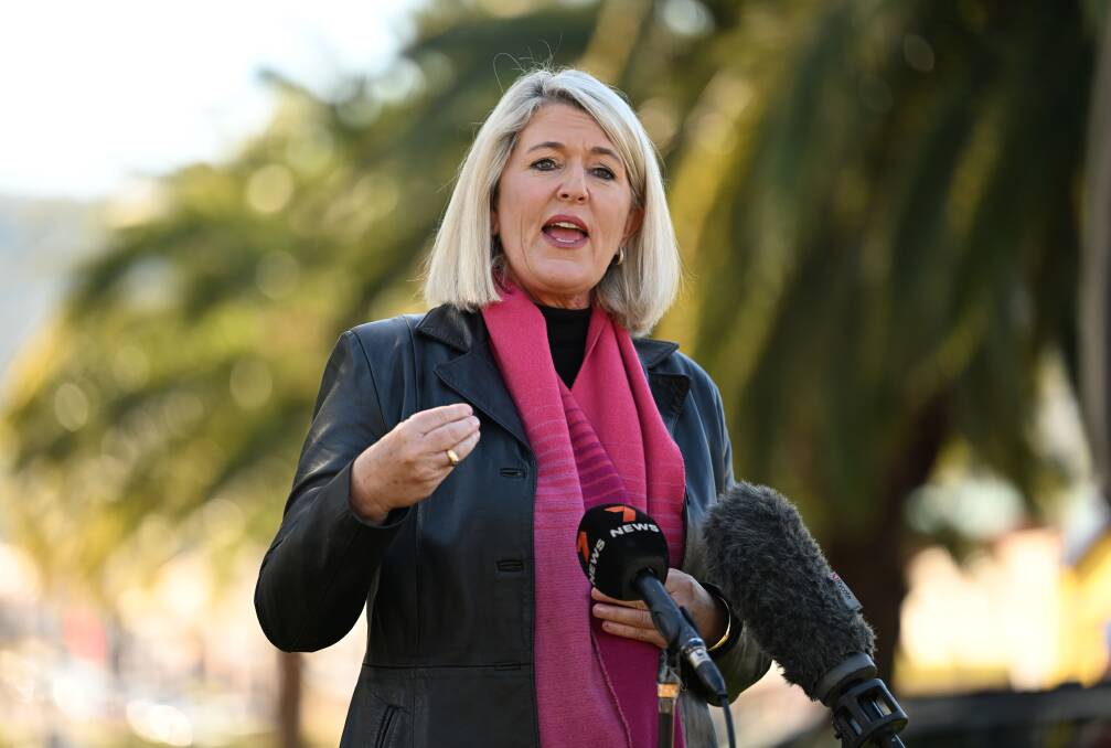 NSW Minister for Police and Counter-terrorism, Yasmin Catley, speaks to media in Tamworth on the last day of her three-day 'listening and learning tour' across New England. Picture by Gareth Gardner