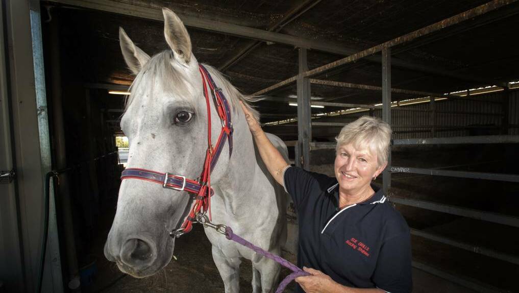 High profile Tamworth trainer Sue Grills says the change to track opening hours has "completely upset" her stable's routine. Picture file