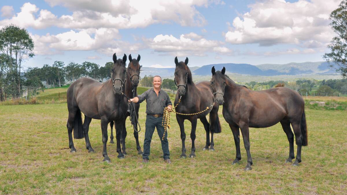 UNE's Professor Paul McGreevy is an expert in animal behaviour and is spearheading a world-first study with his counterpart in the US to determine whether behavioural traits in horses could be bred to suit the work they do. Picture Rob Corken. 