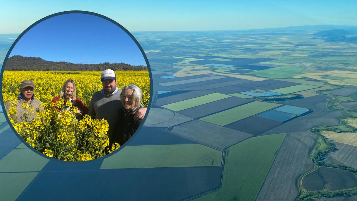 Liverpool Plains farmers Paul, Nellie, Edward and Rosemary Nankivell (inset) stand in their canola field. Picture supplied.