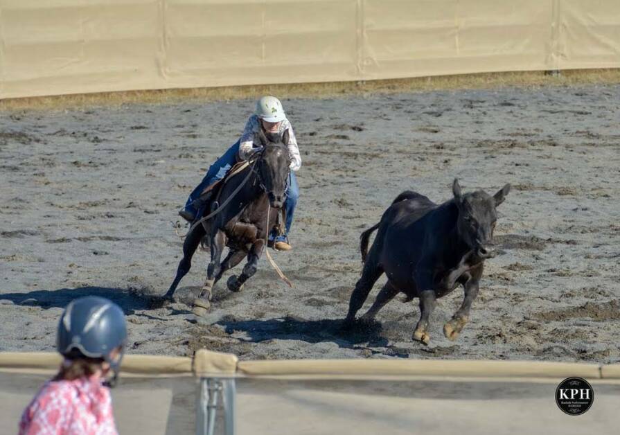 Campdrafting is an increasingly popular equine sport in which riders guide a calf around pegs in a figure-eight shape. Picture by Koobah Performance Horses