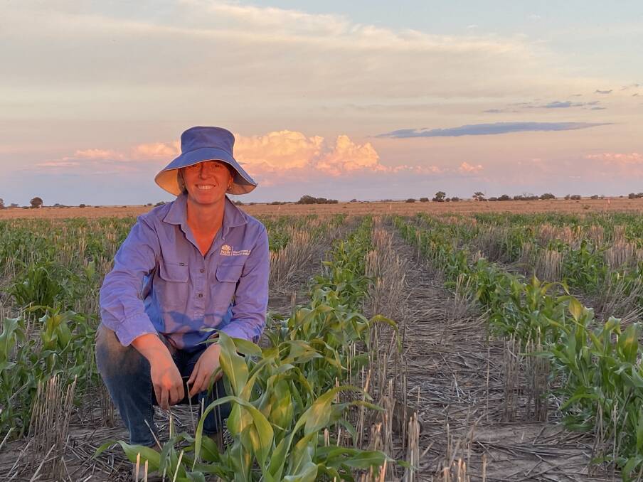 Department of Primary Industries research agronomist Loretta Serafin said she and her team "probably" spend too many early mornings and late nights out in the field. Picture supplied by Sim Madigan