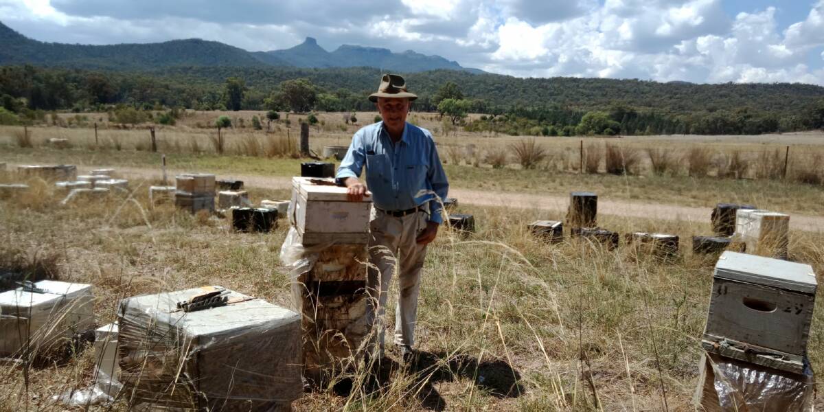 Ray Jones runs a beekeeping business 28km east of Narrabri and 180km north west of Tamworth. He claims the DPI Varroa Mite Response program cost his business $200,000. Picture by Ray Jones