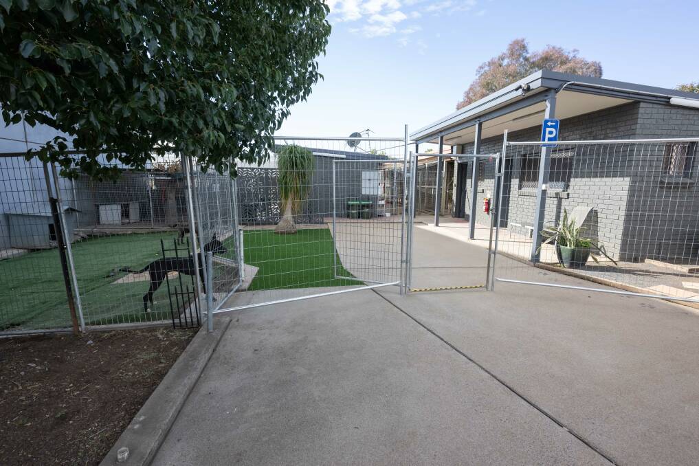 The shelter's renovations required more open space for the dogs to move around in. Picture by Peter Hardin