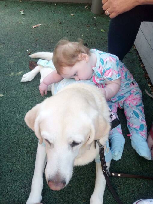 Yara's mother Abby hopes they can one day afford a seizure alert dog like Nancy, who Yara took a liking to when they met in Sydney. Picture supplied by Abby Croft