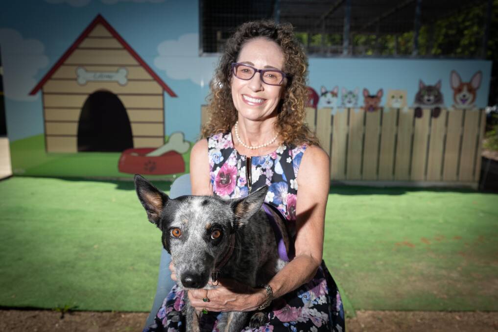 Tamworth Regional Council director of liveable communities Gina Vereker with an unnamed rescue dog at the Tamworth Regional Animal Companion Centre. Picture by Peter Hardin