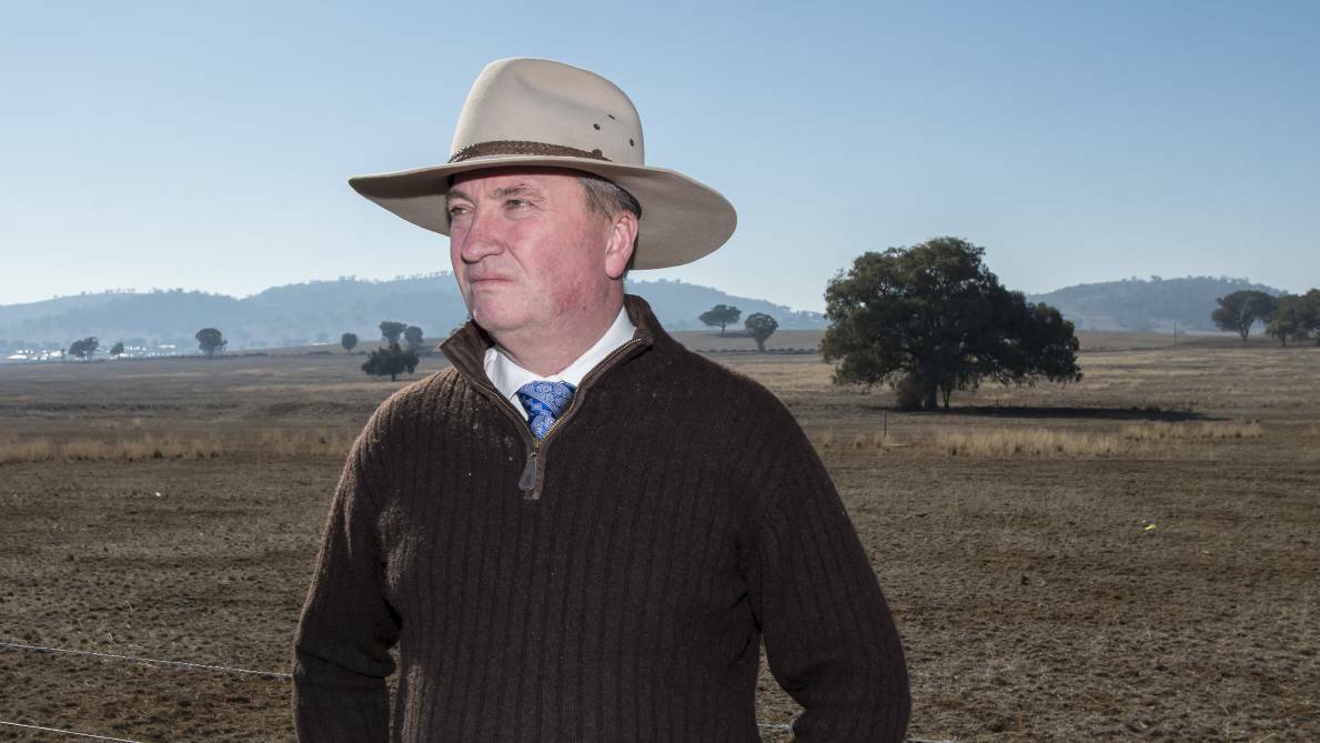Member for New England Barnaby Joyce says the New England region is growing strong. File picture by Gareth Gardner