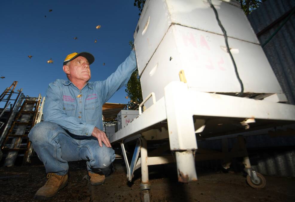 Owner of Tamworth Beekeeping Supplies Tony Bradbury has tips for local landowners to help protect our native bees. Picture by Gareth Gardner