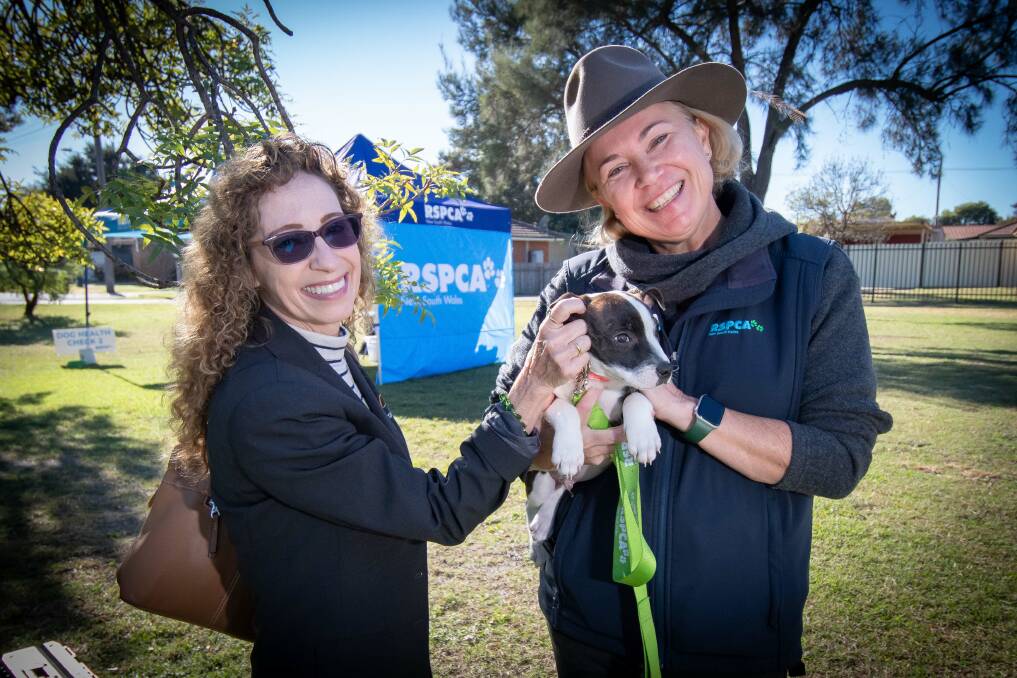 Tamworth Regional Council director of liveable communities Gina Vereker with RSPCA NSW community outreach supervisor Claudia Jones and a little puppy called Hustle. Picture by Peter Hardin