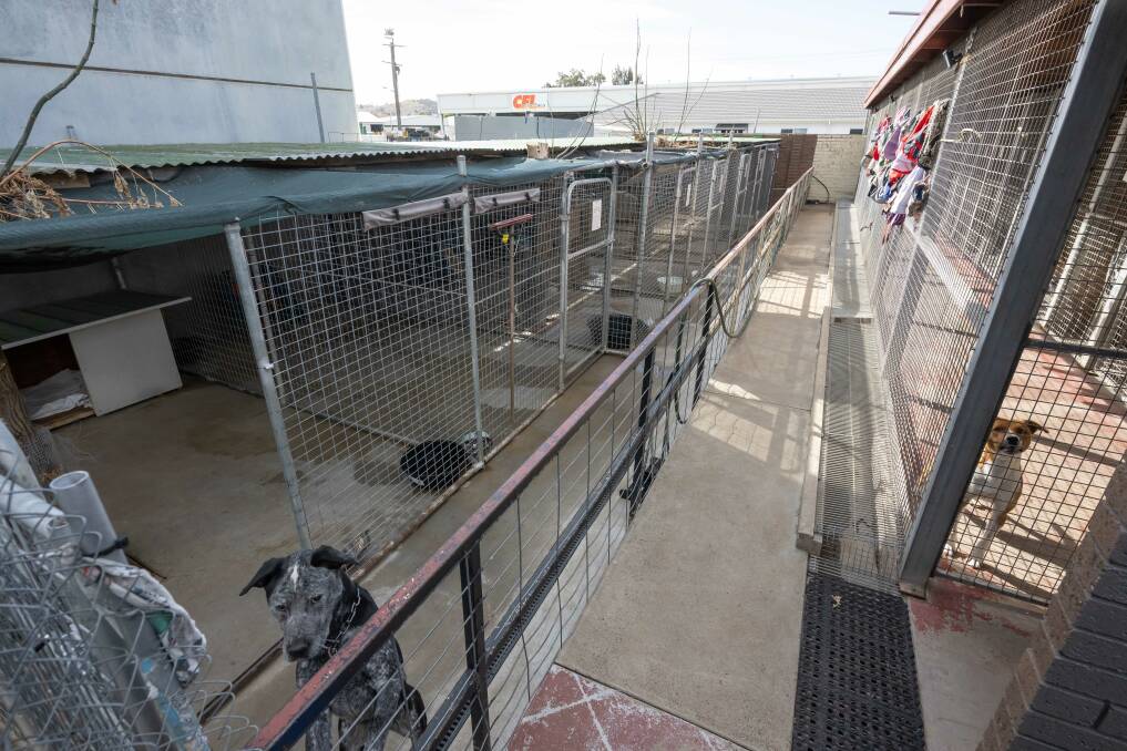 The refurbished shelter provides space for 21 paw-some pups, providing much-need relief to the local pound. Picture by Peter Hardin