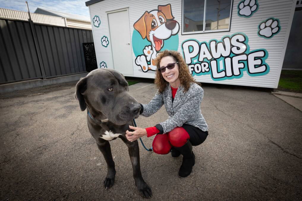 Tamworth Regional Council's Director of Liveable Communities Gina Vereker with furry friend Clive at Paws for Life animal shelter's grand re-opening. Picture by Peter Hardin