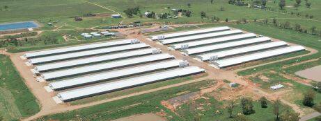 ProTen has a similar poultry broiler farm at Bective, just outside of Tamworth. Picture file