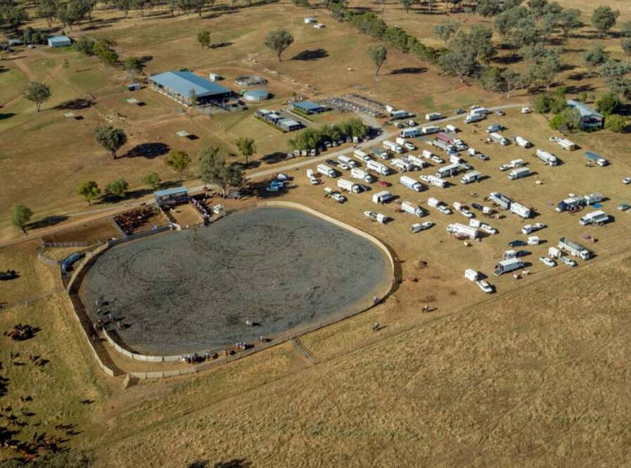 Koobah Performance Horses has received approval from council to expand its development and campdraft events at its property in Kingswood, south of Tamworth. Picture by Koobah Performance Horses