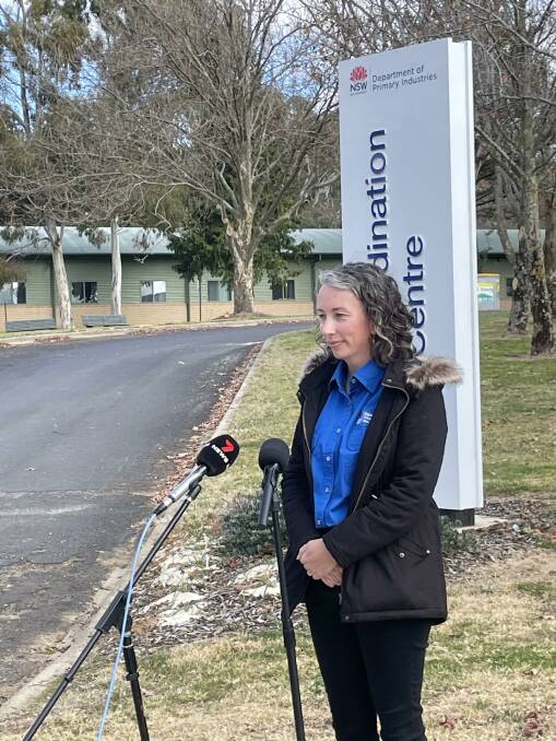 Dr Mulholland held a joint press conference with New England and Riverina press outlets on Monday, September 4, to address the region's next steps following a series of Varroa mite outbreaks over the weekend. Picture supplied by the NSW Department of Primary Industries