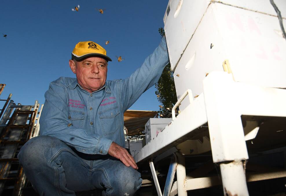 Owner of Tamworth Beekeeping Supplies Tony Bradbery said he first heard about the shift from Varroa mite eradication to management from the Leader, and that he felt "kept in the dark" about it by the Department of Primary Industries. Picture by Gareth Gardner