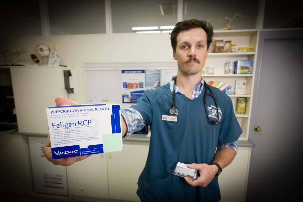Director of Tamworth Veterinary Hospital Dr Isaac Roebuck with a box of F3 cat vaccines, currently in short supply nationwide. Picture by Peter Hardin