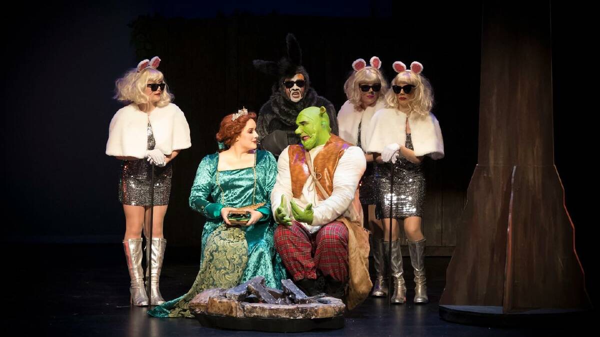 Cast members from of 'Shrek the Musical' on stage at the Capitol Theatre. Picture by Tamworth Camera Club