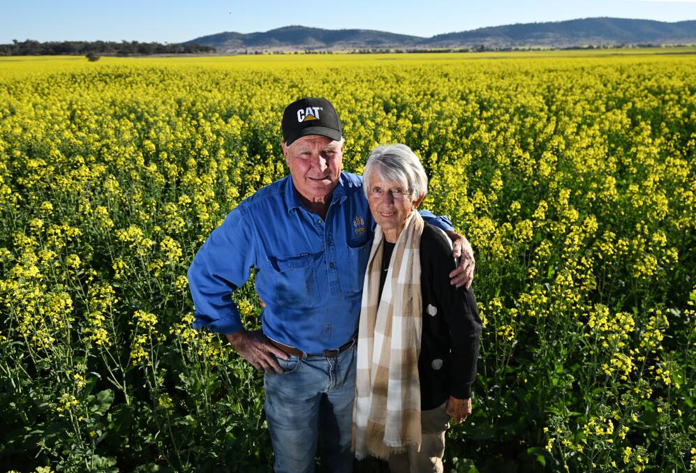 Tony and Lyn will not be harvesting the crop till October, as it has not reached full maturity. Picture by Gareth Gardner. 