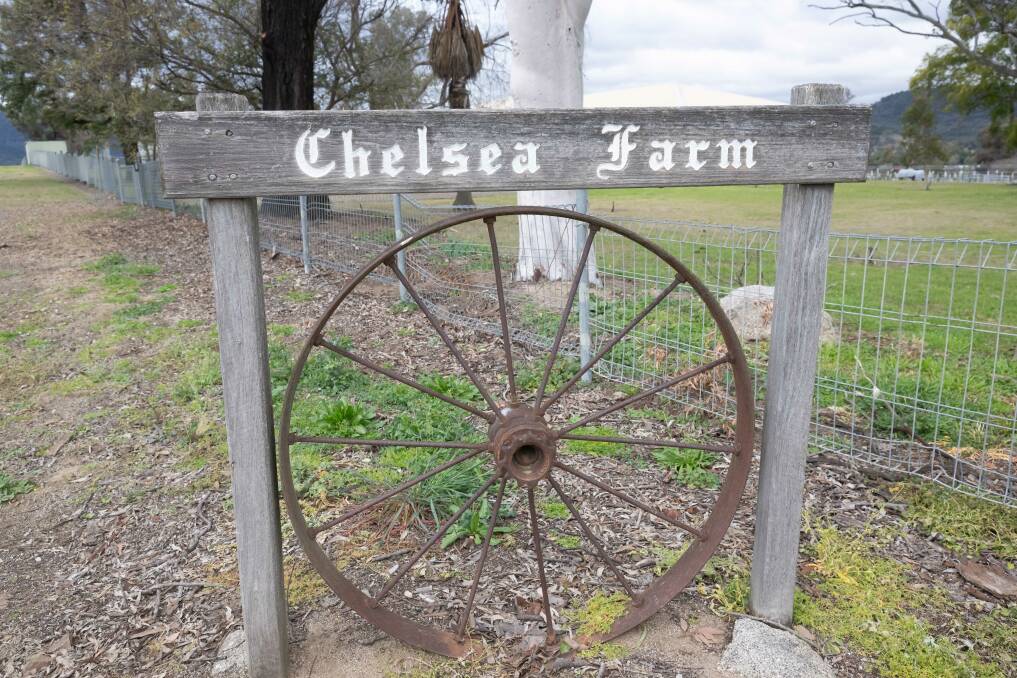 Plans have been lodged to transform part of Chelsea Farm at Kootingal into a commercial horse facility. Picture by Peter Hardin