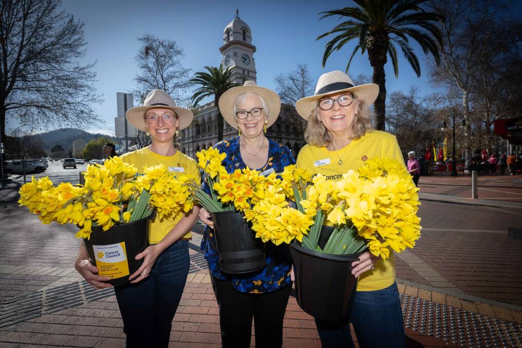 Cancer Council members Dimity Betts, Maryann Parsons, and Sheen Fraser hold up the bouquets of daffodils ready to be sold. Picture by Peter Hardin