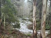 A light dusting of snow was experienced at Hanging Rock, near Nundle, as a low pressure system pushed an icy chill up Australia. Picture supplied by Fabian Norrie