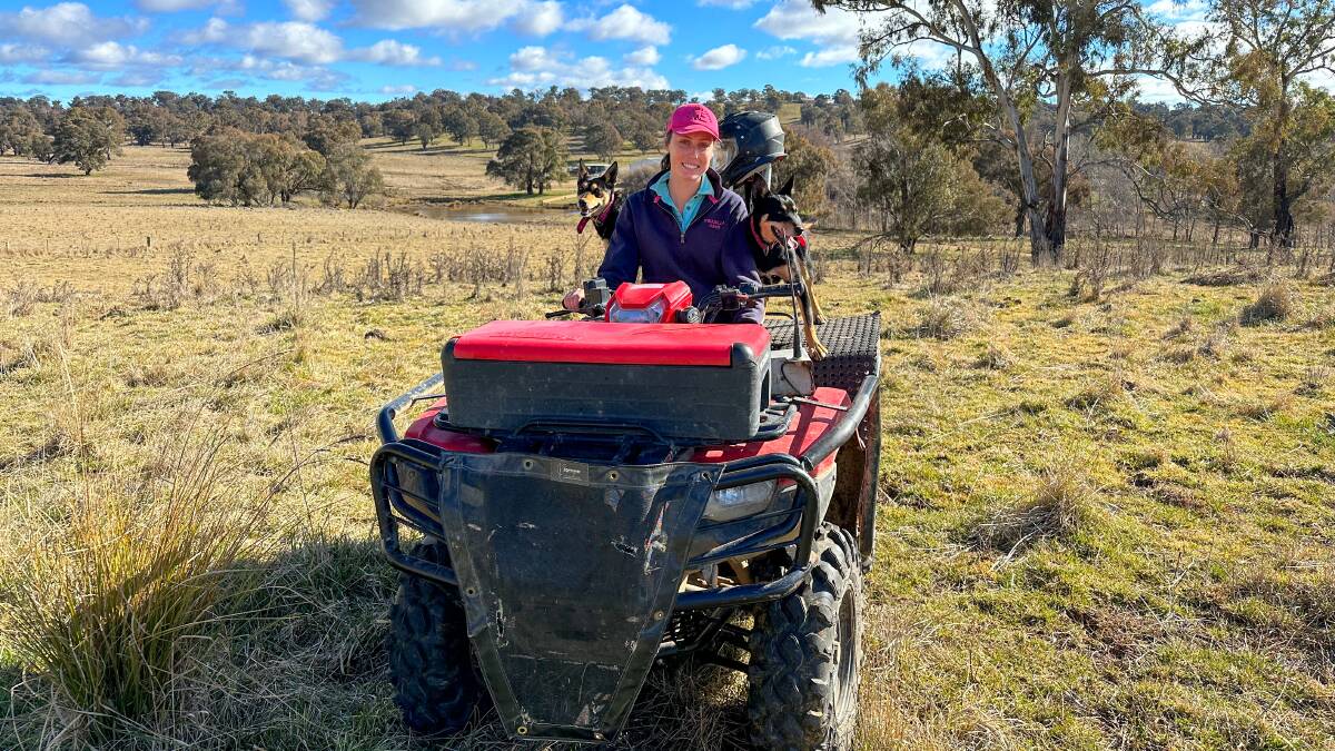 Lucy Morris once dreamed of working in the ag industry, now she has two kelpies and a couple years of experience at Wirribilla, Walcha, under her belt. Picture by Elka Devney