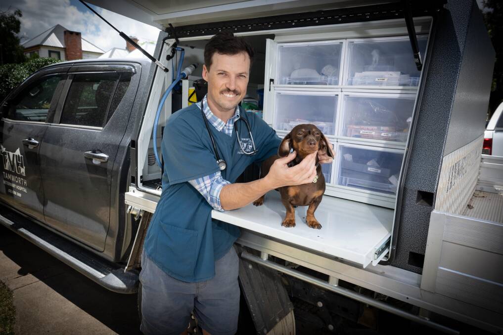 Tamworth Veterinary Hospital director Dr Isaac Roebuck, gives Georgie a quick check from one of the practice's vehicles, which will be visiting Bendemeer and Nundle for pop-up clinics from February. Picture by Peter Hardin