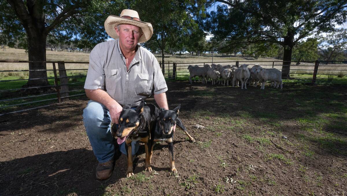 Tim Mackie, Wallabadah Station, has been organising the yard dog competition for The Way It Was festival since it started in May 2022. Picture by Peter Hardin