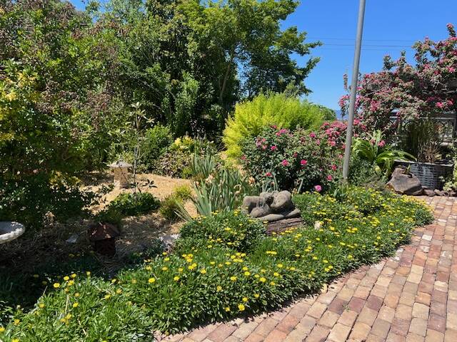 The Reardon family's garden "Clylie" will open to the public on Sunday, October 28, to raise funds for Tamworth's CanAssist group. Picture supplied