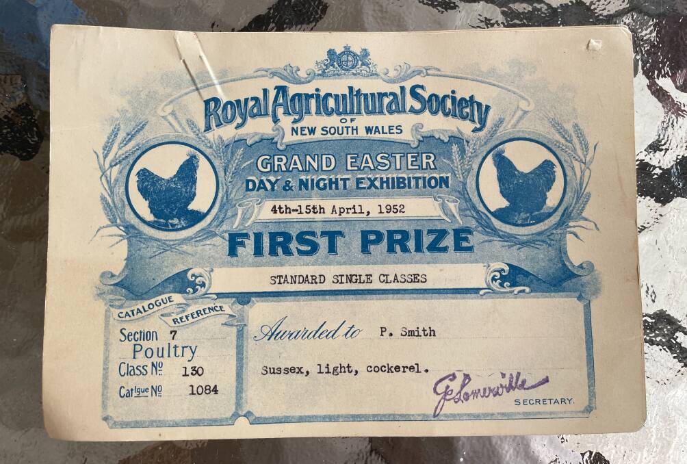 Peter Smith's first Sydney Royal win - first prize with a light Sussex cockerel [rooster] - in 1952. Picture by Emma Downey