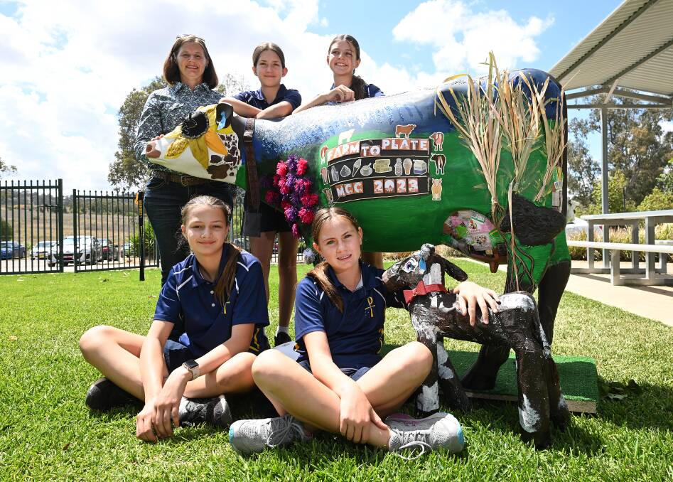McCarthy Catholic College has won Dairy Australia's 2023 Picasso Cow competition with its entry, MCC Nellie and her calf Min-ellie. Pictures by Gareth Gardner and Emma Downey