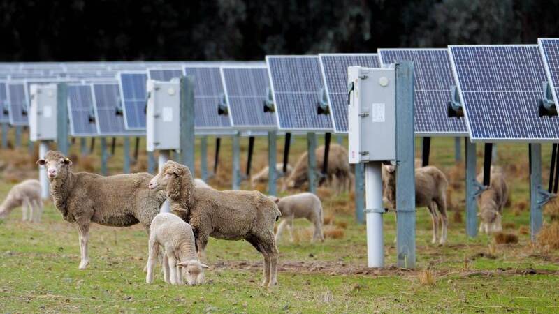 Farmers are trialling the use of renewable energy as Australia pursues net-zero emissions targets. Picture supplied by Australian Conservation Foundation handout 