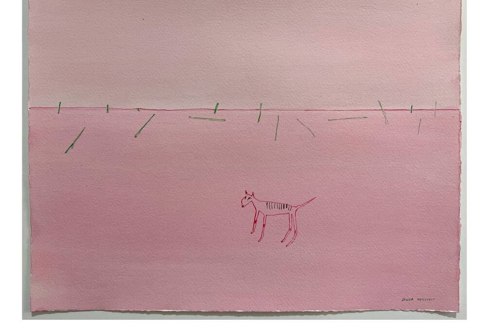 Early career award - Jessica Nothdurft, Thylacine Sighting, 2022, ink on paper, 38 x 29 cm, (unframed). Courtesy of the Artist.