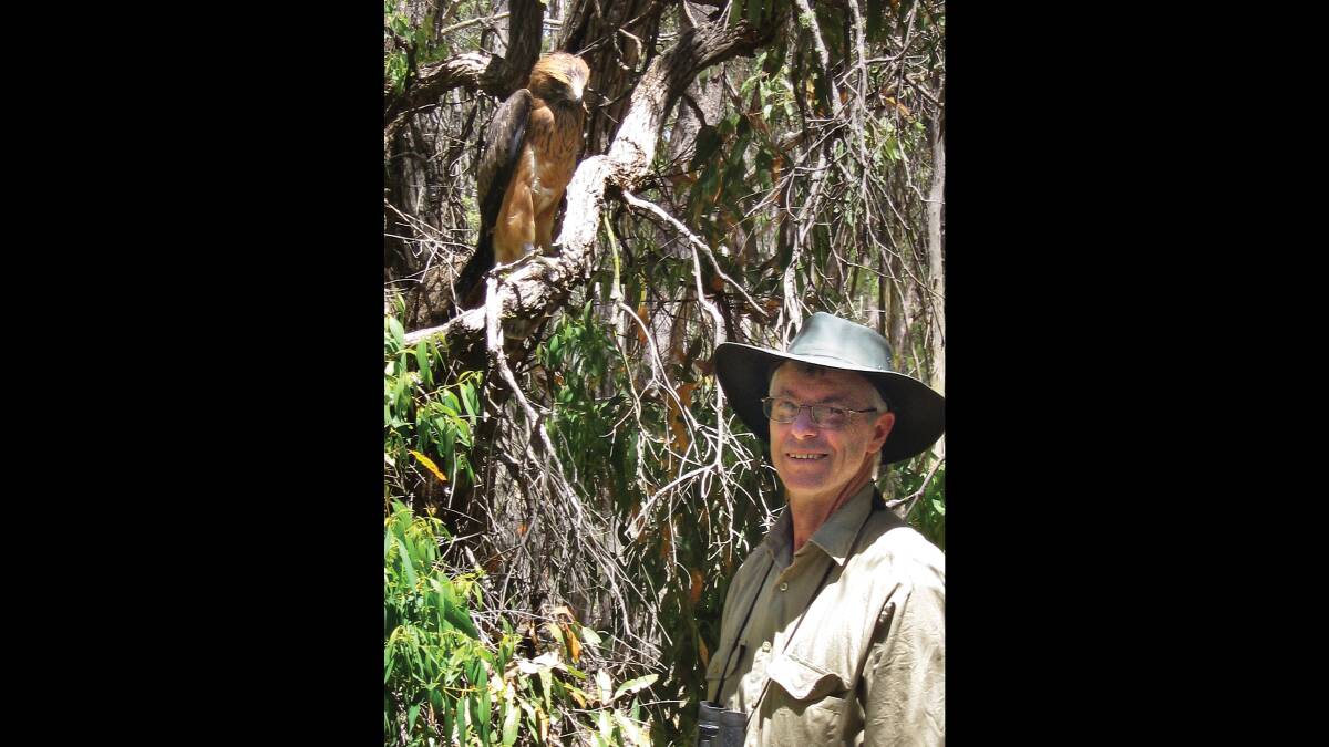 Dr Steve Debus has been studying birds of prey for many years. He is seen here next to a fledging Little Eagle that Mr Debus put back on the branch after being released from a fox trap. Picture supplied. 