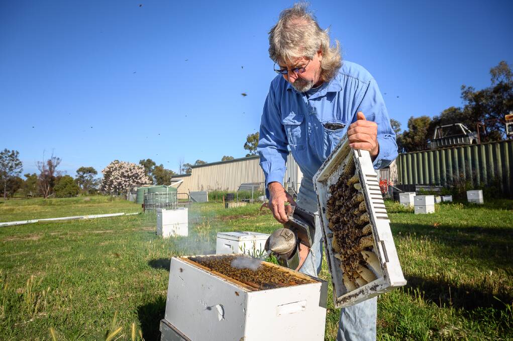 Ray Hull says honey bee Varroa mite eradication is 'still technically feasible'. Picture from file