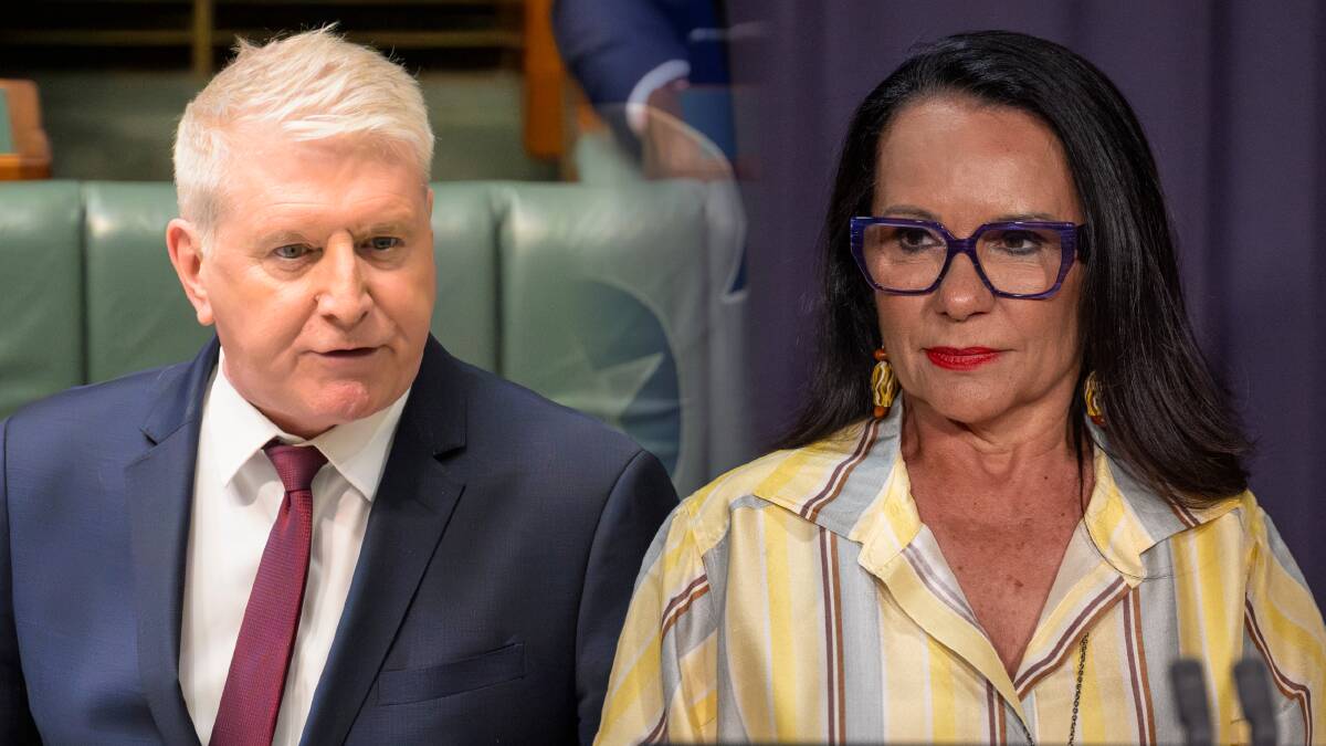 Skills Minister Brendan O'Connor, left and Minister for Indigenous Australians Linda Burney will retire from politics. Pictures by Keegan Carroll and Gary Ramage