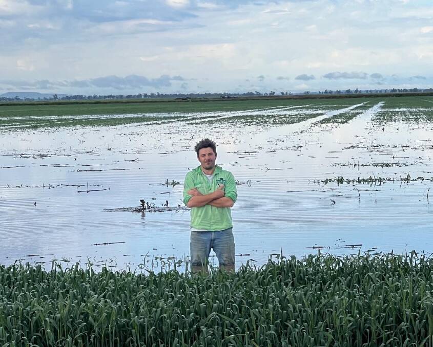 Stephen Gibson stands in his durum wheat after floodwater went through his property, Longacres, Carroll.