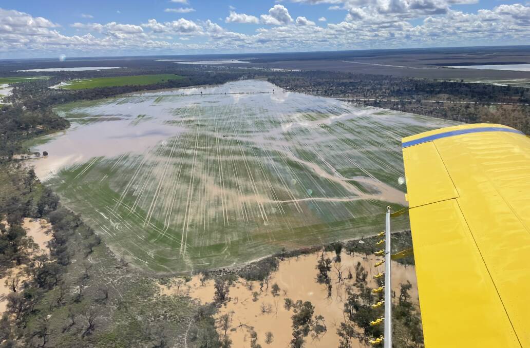 Floodwater in wheat this past week from the lower Gwydir River, west of Moree. Photo: Brad Cogan