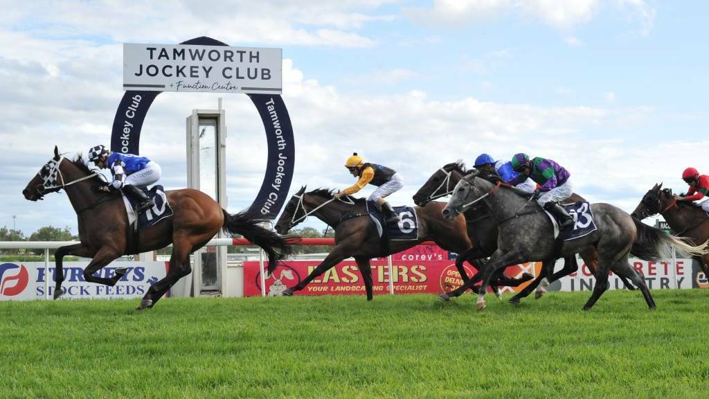 TOO GOOD: Ligulate, pictured winning in Tamworth, took out the Global Engineering & Construction Open Handicap at Eagle Farm on Saturday. Photo: Bradley Photographers